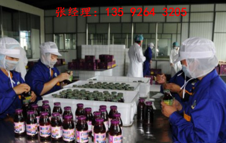 小型調(diào)配果汁飲料生產(chǎn)線設(shè)備|植物水果飲料設(shè)備價(jià)格