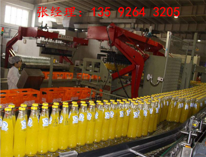 年產200噸梨汁飲料生產設備廠家|刺梨果汁飲料設備價格